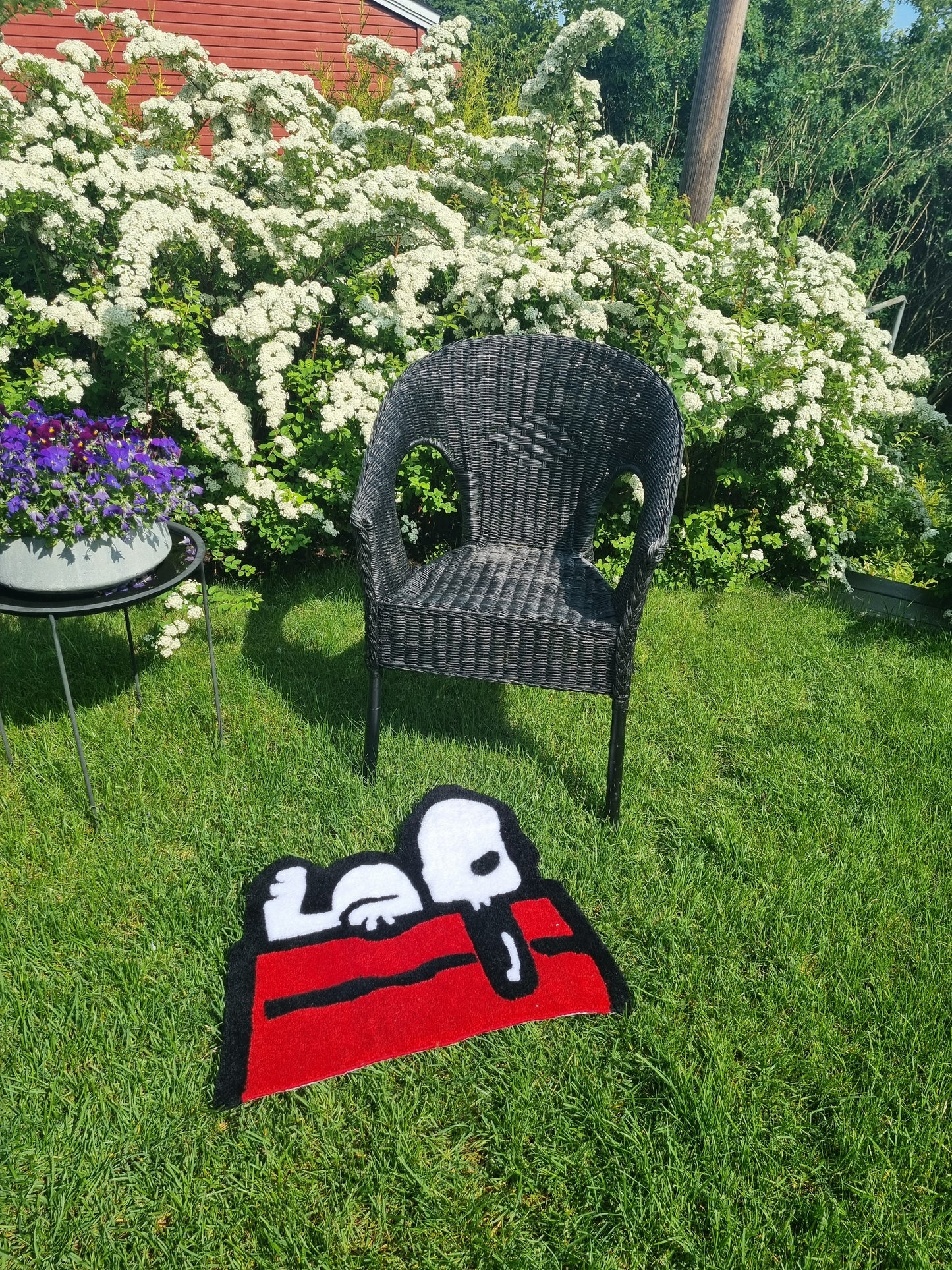 Snoopy titter på stjernene