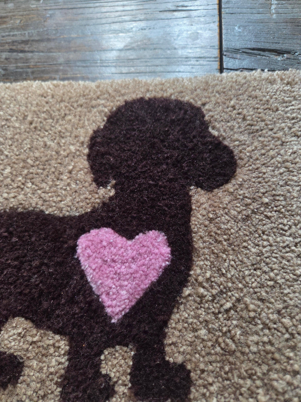 Hunden i hjertet mitt